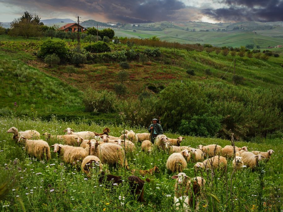 Italie : Ecotourisme en immersion dans la Sicile des Madonies et rencontres authentiques