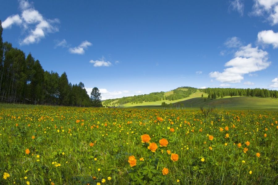 Mongolie : Circuit découverte du désert de Gobi à la vallée d