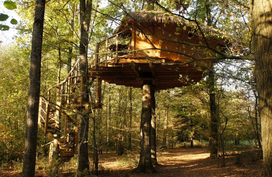 Charente-Maritime : Cabanes dans les arbres dans un parc enchanteur