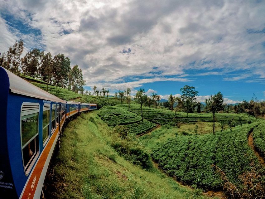 Quand partir au Sri Lanka ?