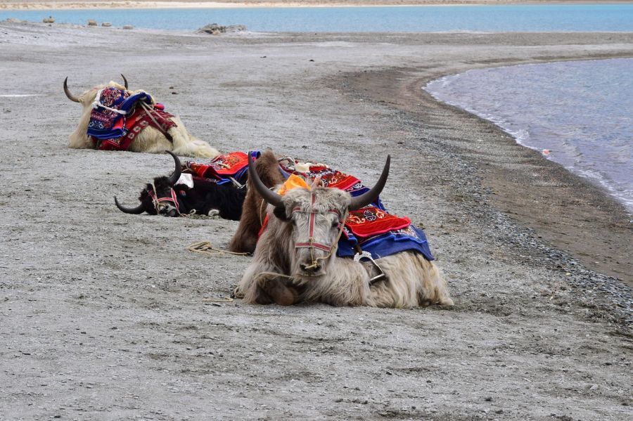 Tourisme et divertissement