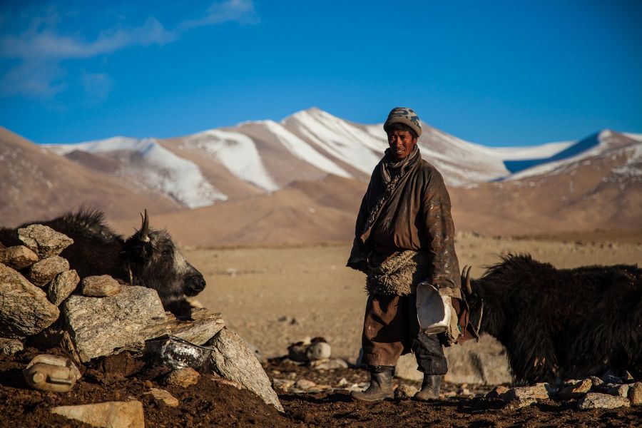 Mongolie : Circuit en immersion chez les nomades mongols