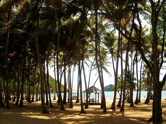 plage en guadeloupe