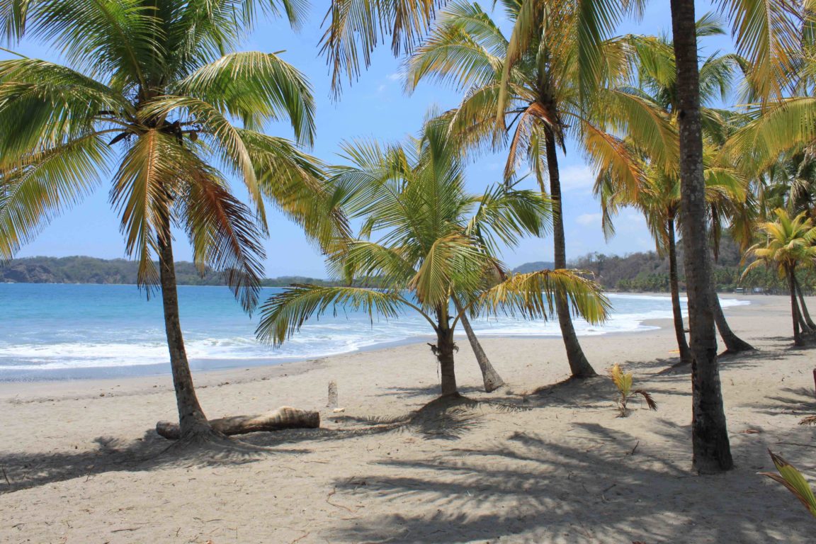 Ecolodge costa rica plage de samara