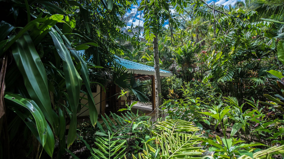 Ecolodge costa rica