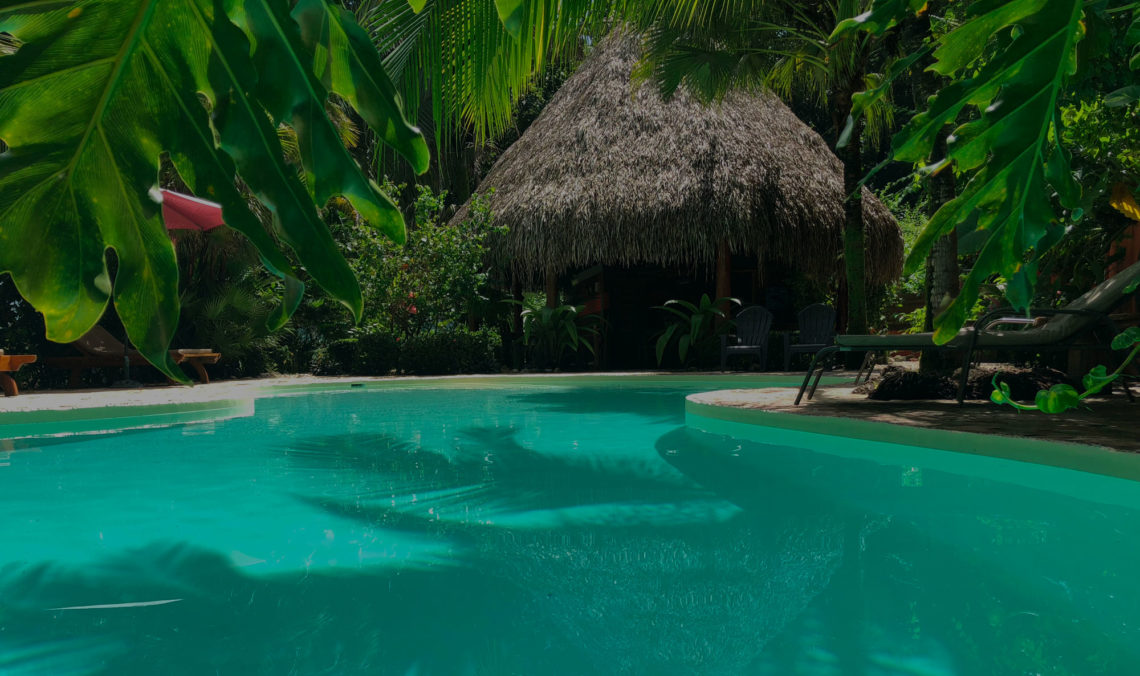 Ecolodge costa rica piscine