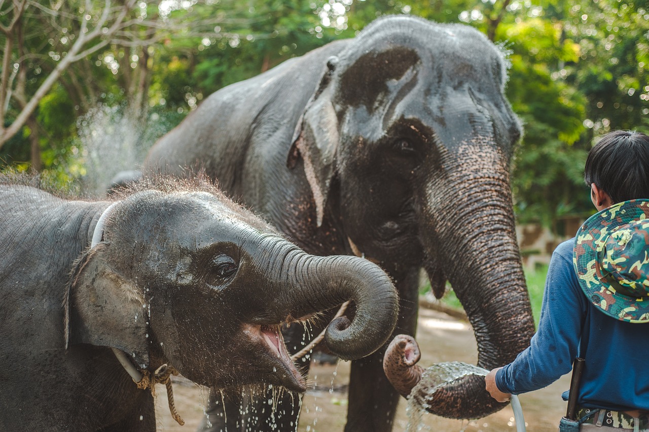 voyage ecotourisme thailande