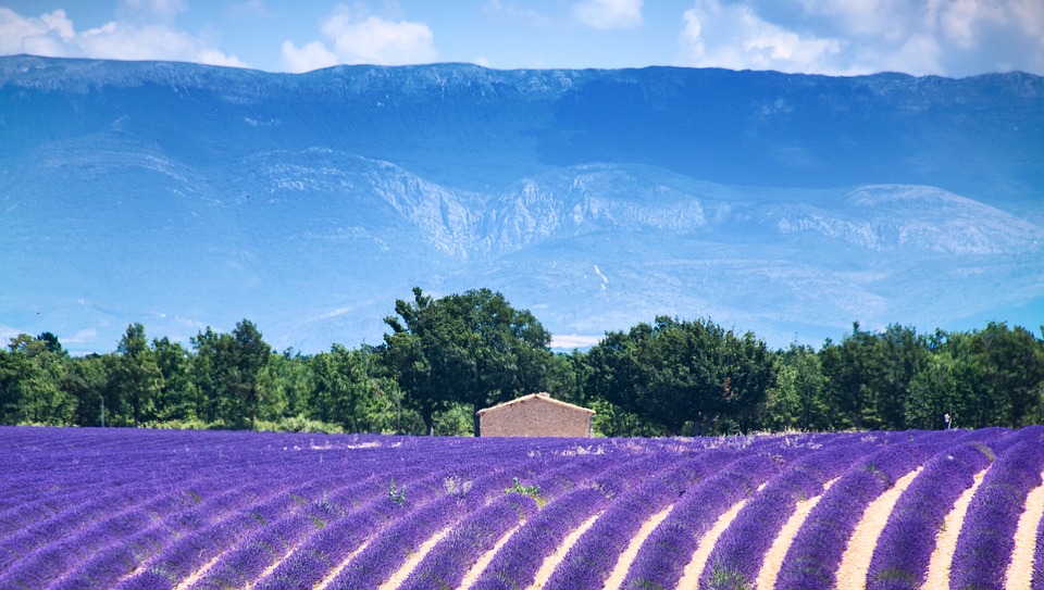 écotourisme provence 